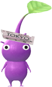 purple Station Ticket pikmin